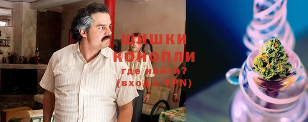 стаф Богородицк