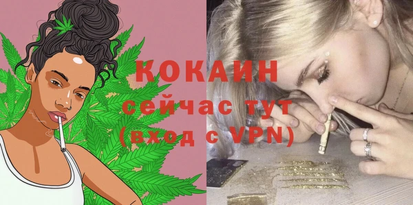 стаф Богородицк