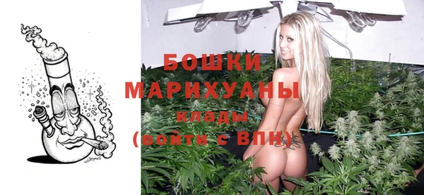 стаф Богородицк