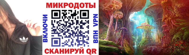 Псилоцибиновые грибы прущие грибы  Гороховец 